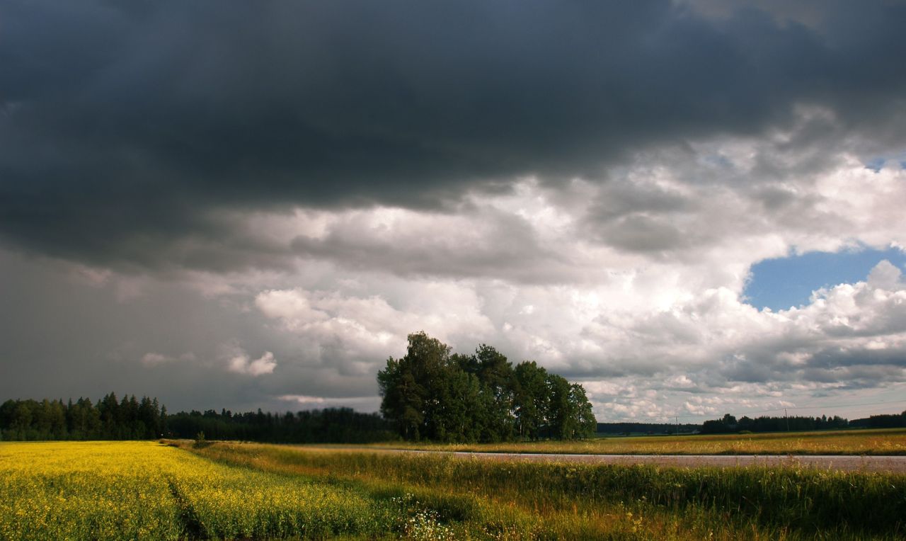 a imagem mostra o avan&ccedil;o de chuva em uma determinada regi&atilde;o